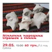 mc-glyna-29-05-2010